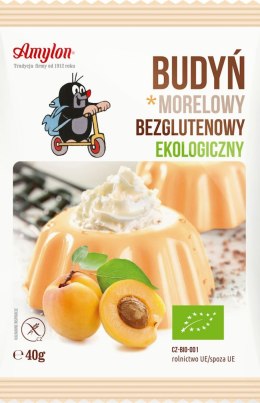 BUDYŃ MORELOWY BEZGLUTENOWY BIO 40 g - AMYLON