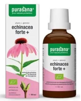 JEŻÓWKA PURPUROWA (ECHINACEA FORTE) KROPLE BIO 50 ml - PURASANA