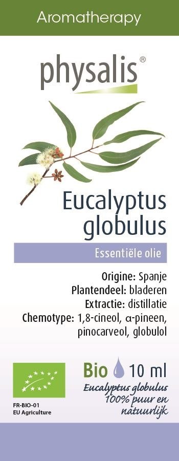 OLEJEK ETERYCZNY EUKALIPTUS GAŁKOWY BIO 10 ml - PHYSALIS