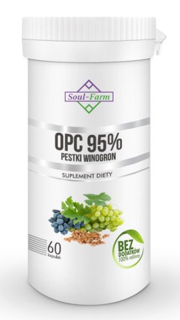 PESTKI WINOGRON EKSTRAKT 95 % OPC (450 mg) 60 KAPSUŁEK - SOUL FARM