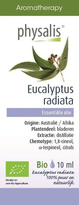 OLEJEK ETERYCZNY EUKALIPTUS AUSTRALIJSKI BIO 10 ml - PHYSALIS