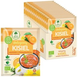 KISIEL INSTANT PIGWOWIEC Z POMARAŃCZĄ BEZGLUTENOWY BIO 30 g - DARY NATURY