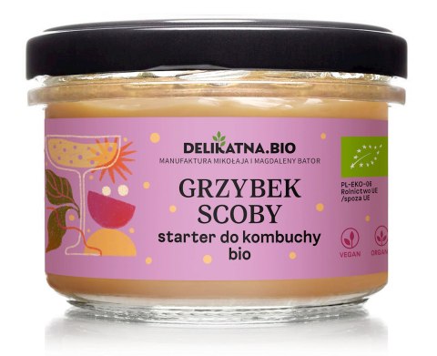 GRZYBEK SCOBY STARTER DO KOMBUCHY BIO 150 g - DELIKATNA