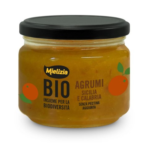 MUS CYTRUSOWY BIO 250 g - MIELIZIA