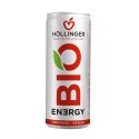 NAPÓJ ENERGETYZUJĄCY O SMAKU JABŁKO - JEŻYNA BIO 250 ml - HOLLINGER