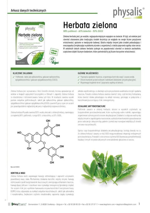 HERBATA ZIELONA 30 TABLETEK - PHYSALIS