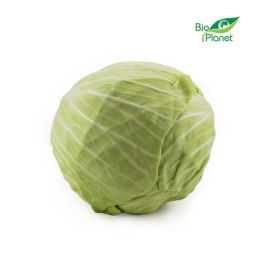 KAPUSTA BIAŁA ŚWIEŻA BIO (POLSKA) (około 1,50 kg)