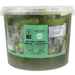 OGÓRKI MAŁOSOLNE SĄTYSKIE BIO 3,4 kg (1,7 kg) (WIADERKO) - SĄTYRZ