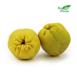 PIGWA ŚWIEŻA BIO (około 0,30 kg)