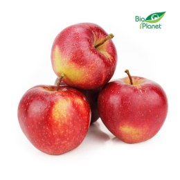 JABŁKA ŚWIEŻE BIO (około 1,00 kg)