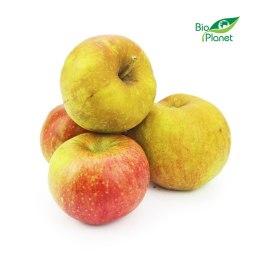 OPAKOWANIE ZBIORCZE (kg) - JABŁKA ŚWIEŻE BIO (KLOS - POLSKA) (około 13 kg)