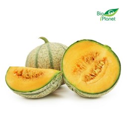 OPAKOWANIE ZBIORCZE (kg) - MELON ŚWIEŻY BIO (około 6 kg)