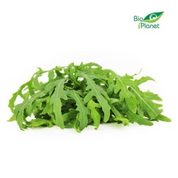 RUKOLA ŚWIEŻA NIEMYTA BIO (POLSKA) (około 0,10 kg)